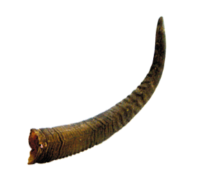 Sündenbock Horn
