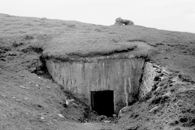 bunker 5
